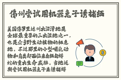 让我尝尝你的扇贝